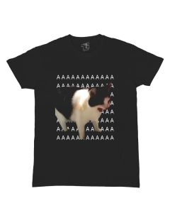 Aaa Cat