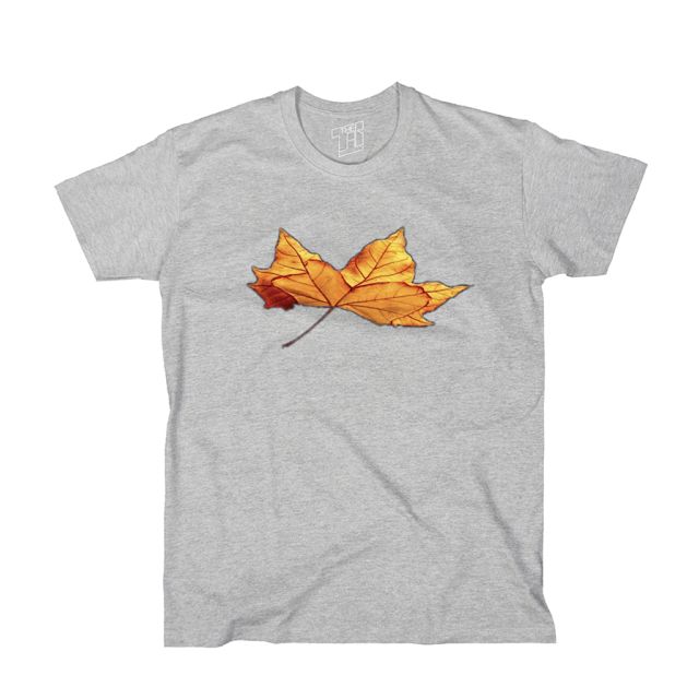 Falling Leaf