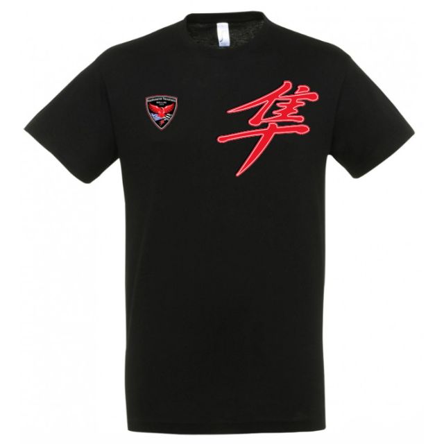 Pan-European Hayabusa Club Meeting T-shirt