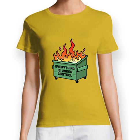 everything is under control