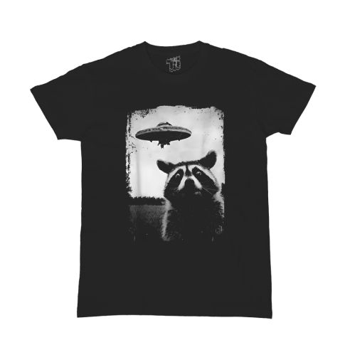 Ufo Raccoon